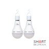 Комплект із двох ламп LED Lightwell BS2C4 15 Вт Е27 з вбудованим акумулятором