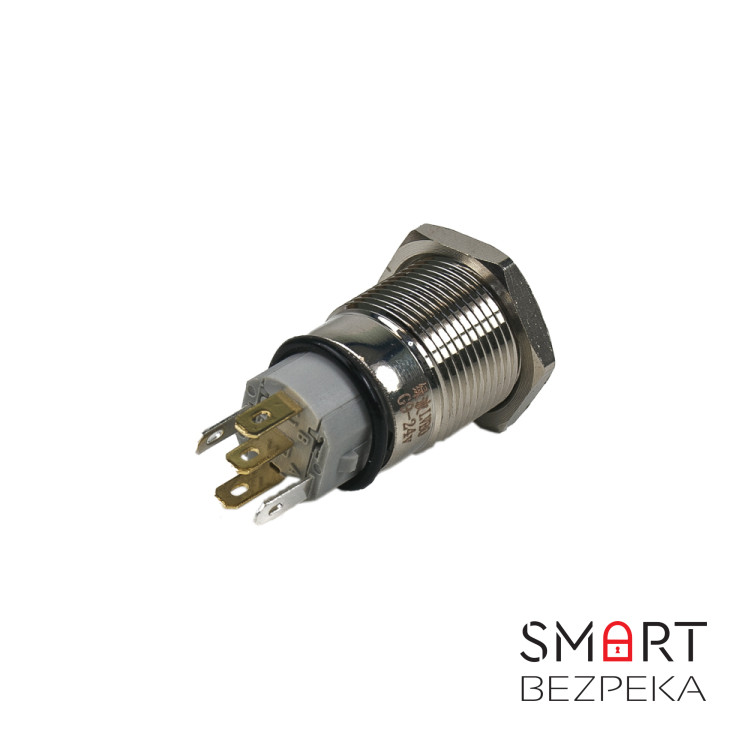 Кнопка антивандальная LB19A-P11Z/E+DYG9-24V/N