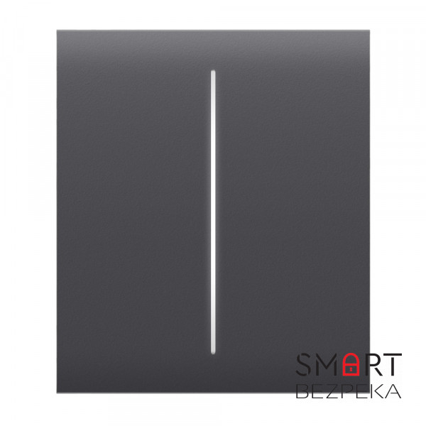 Кнопка Ajax CenterButton (2-gang) graphite для двоклавішного вимикача