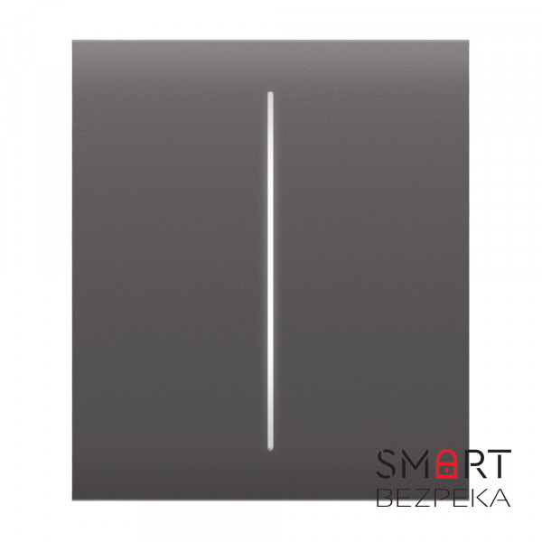 Кнопка Ajax CenterButton (2-gang) grey для двоклавішного вимикача