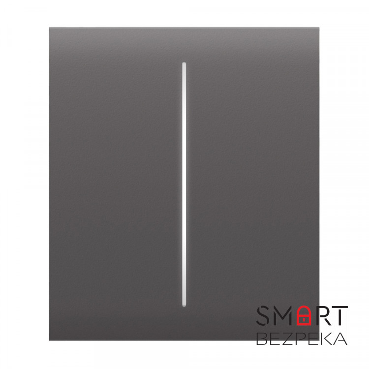 Кнопка Ajax CenterButton (2-gang) grey для двоклавішного вимикача