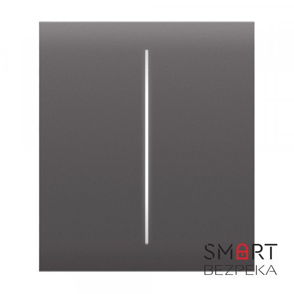 Кнопка Ajax CenterButton (2-gang) grey для двоклавішного вимикача