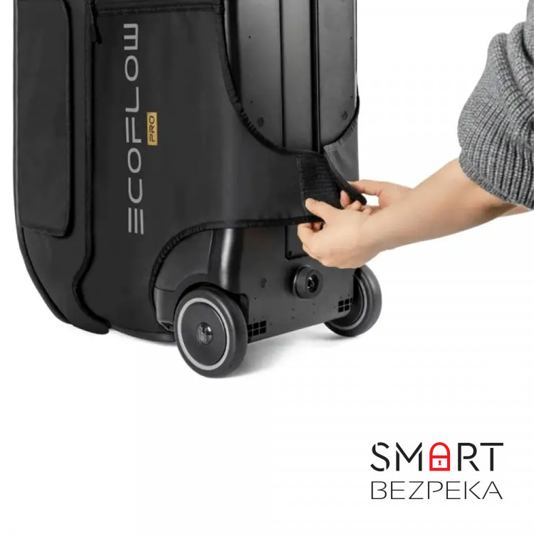 Сумка EcoFlow DELTA Pro Bag